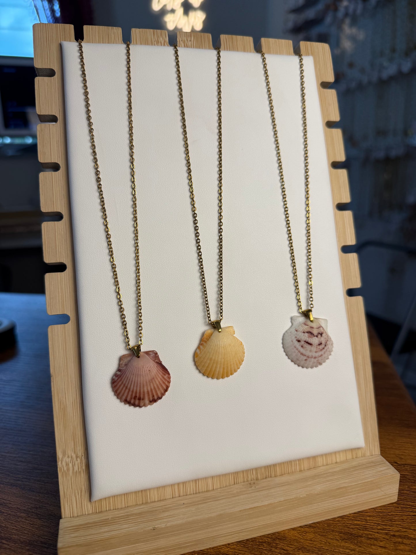 Seashell Necklace on Salty Chain