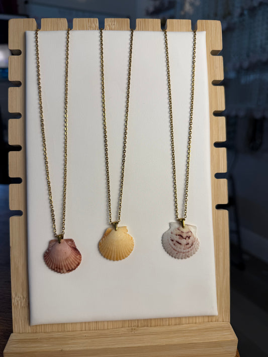Seashell Necklace on Salty Chain