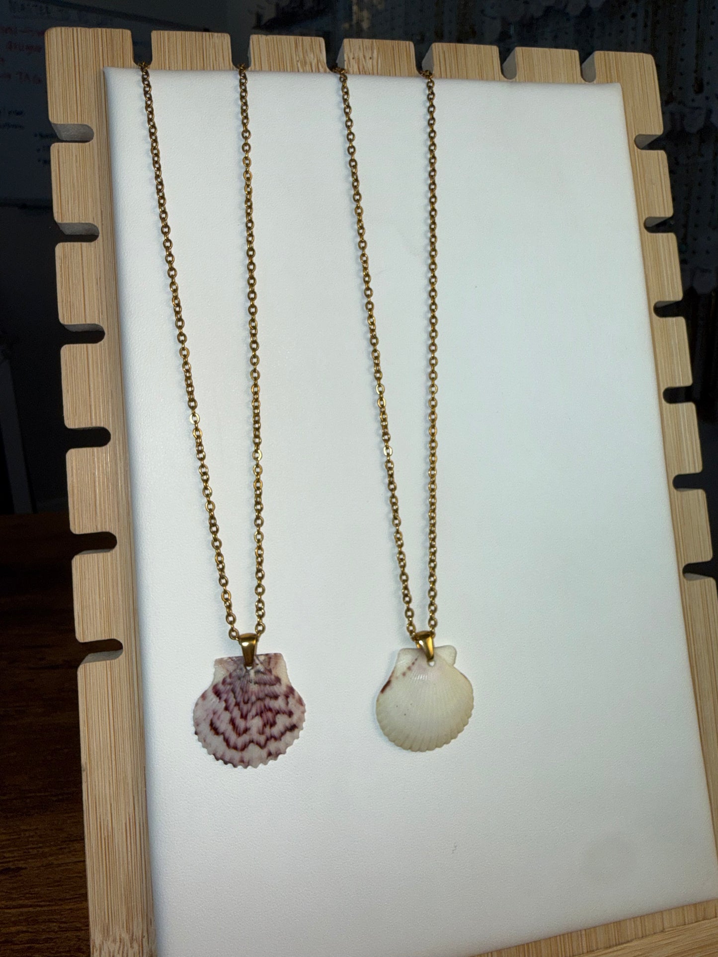 Seashell Necklace on Salty Chain