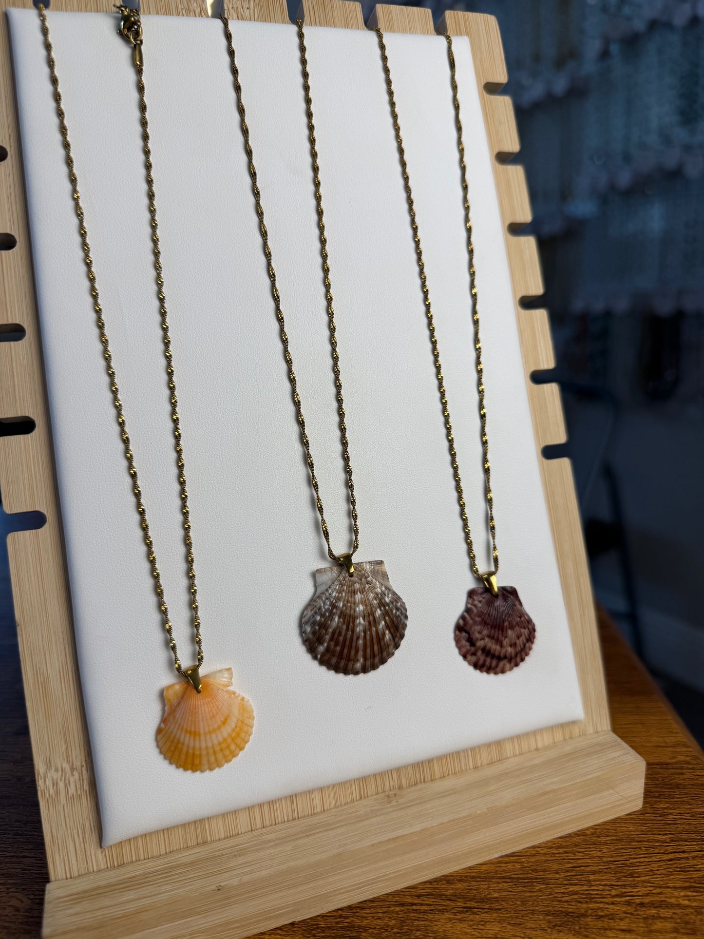 Seashell Necklace on Singapore Chain