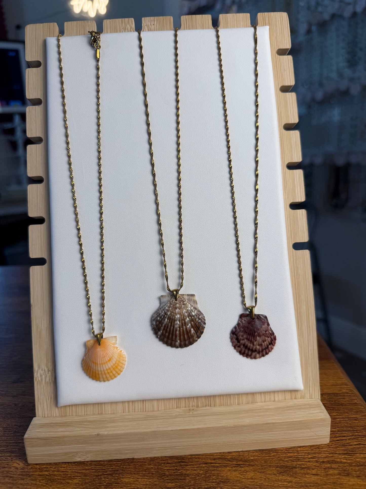 Seashell Necklace on Singapore Chain