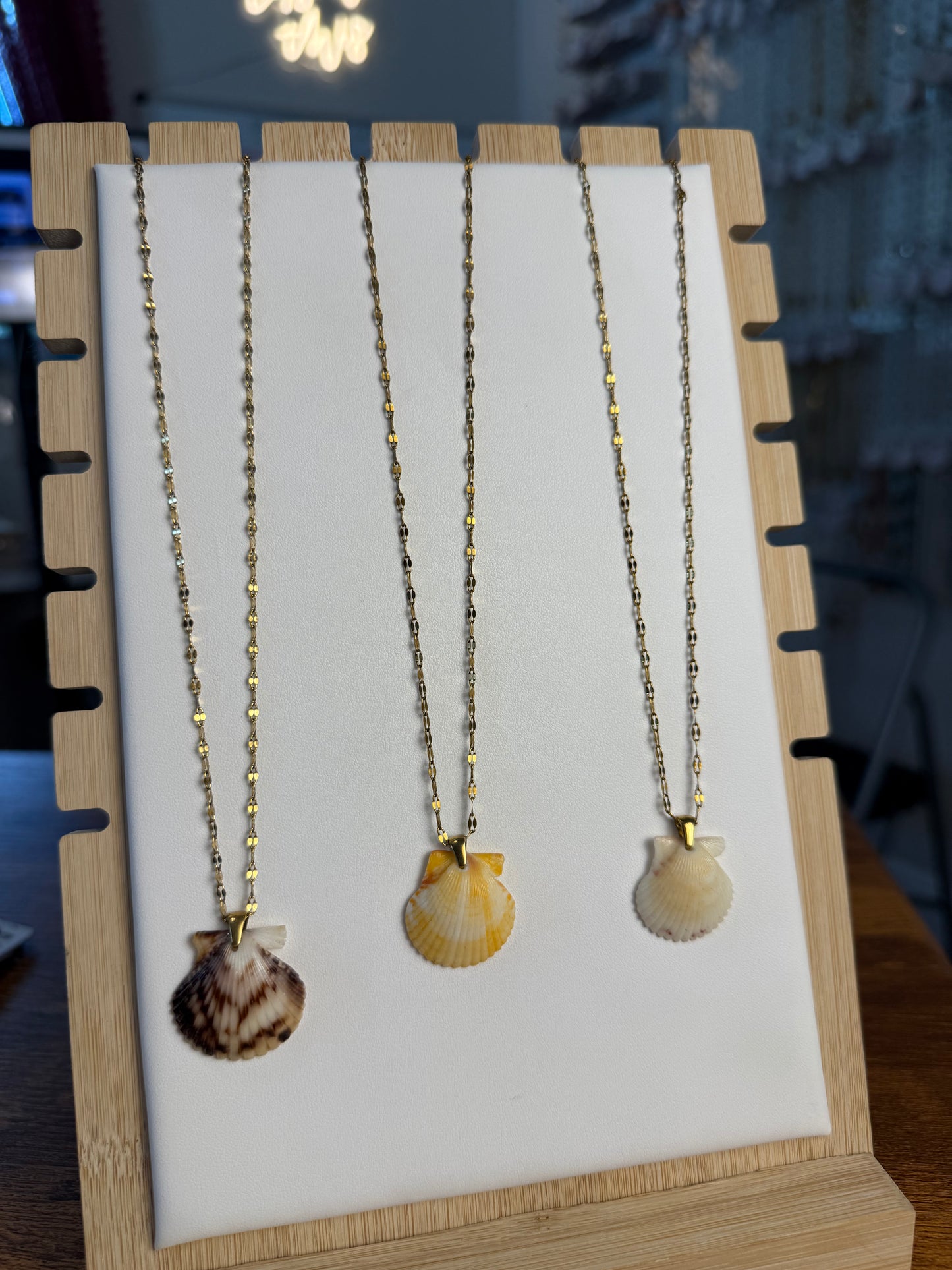 Seashell Necklace on Current Chain