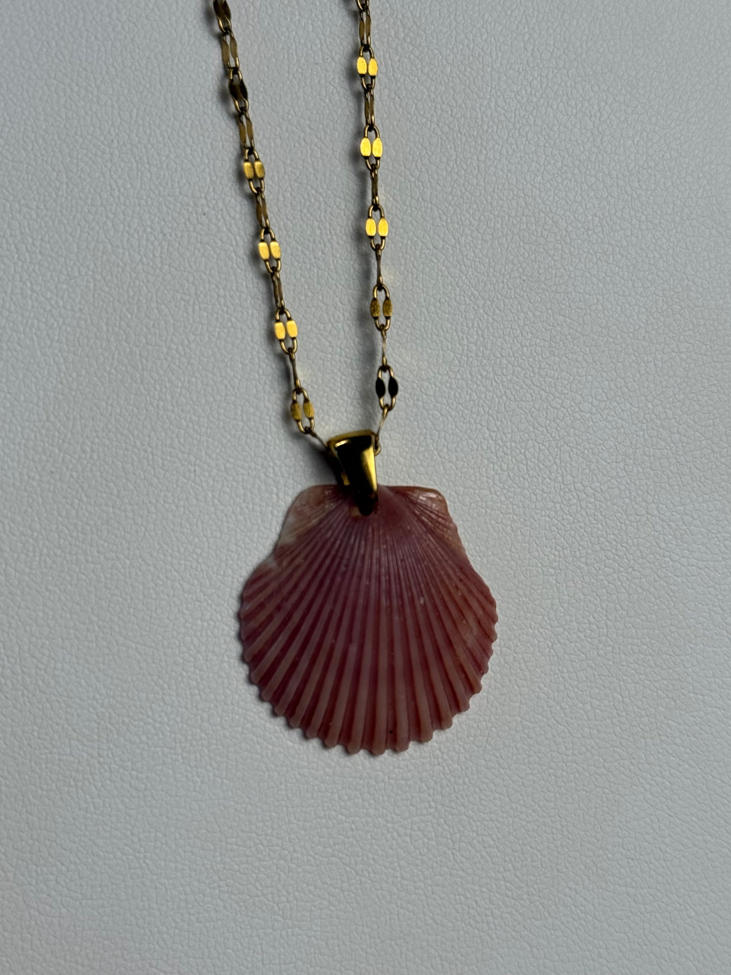 Seashell Necklace on Current Chain