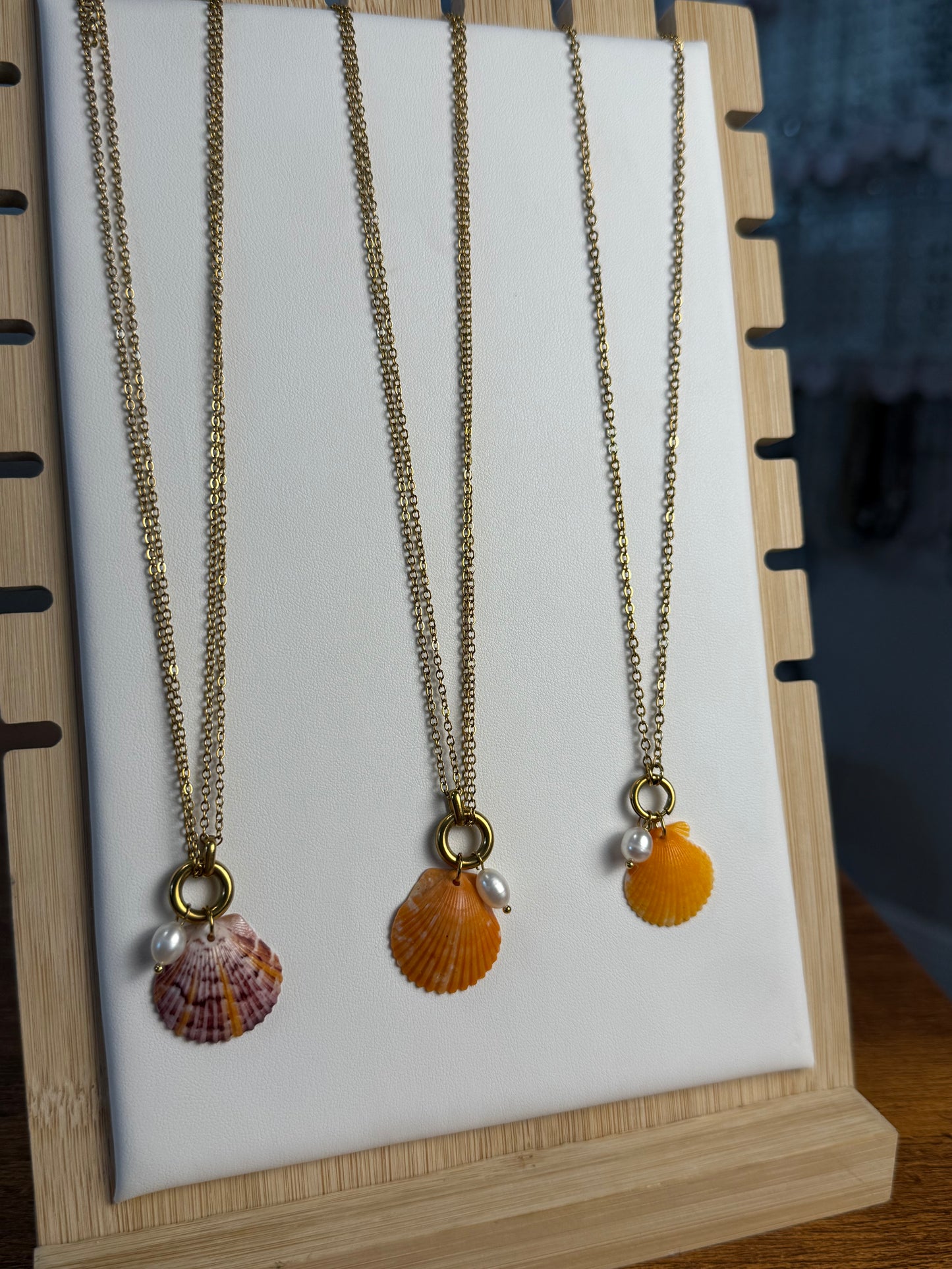 Seashell Necklace on Pearl Cove Chain