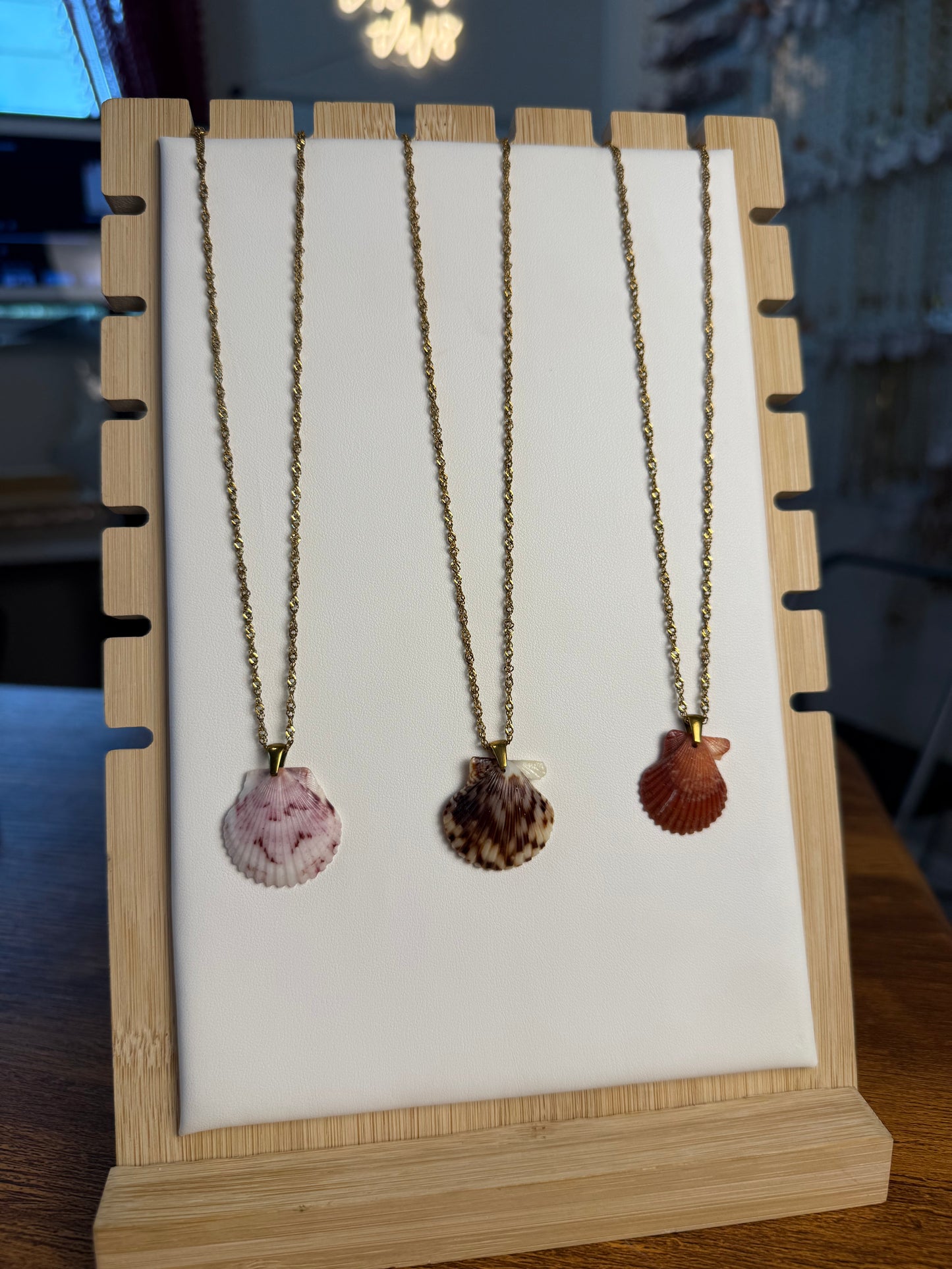 Seashell Necklace on Malibu Chain