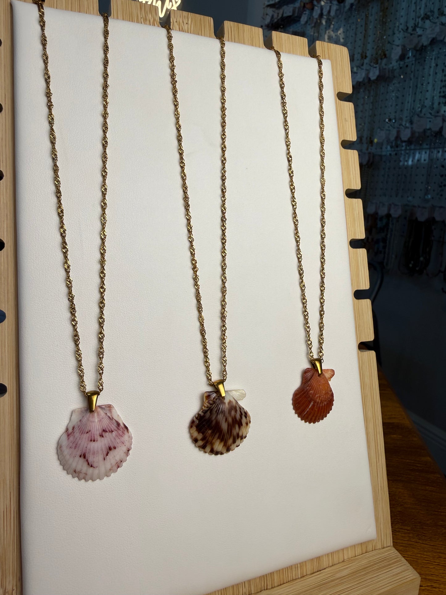 Seashell Necklace on Malibu Chain