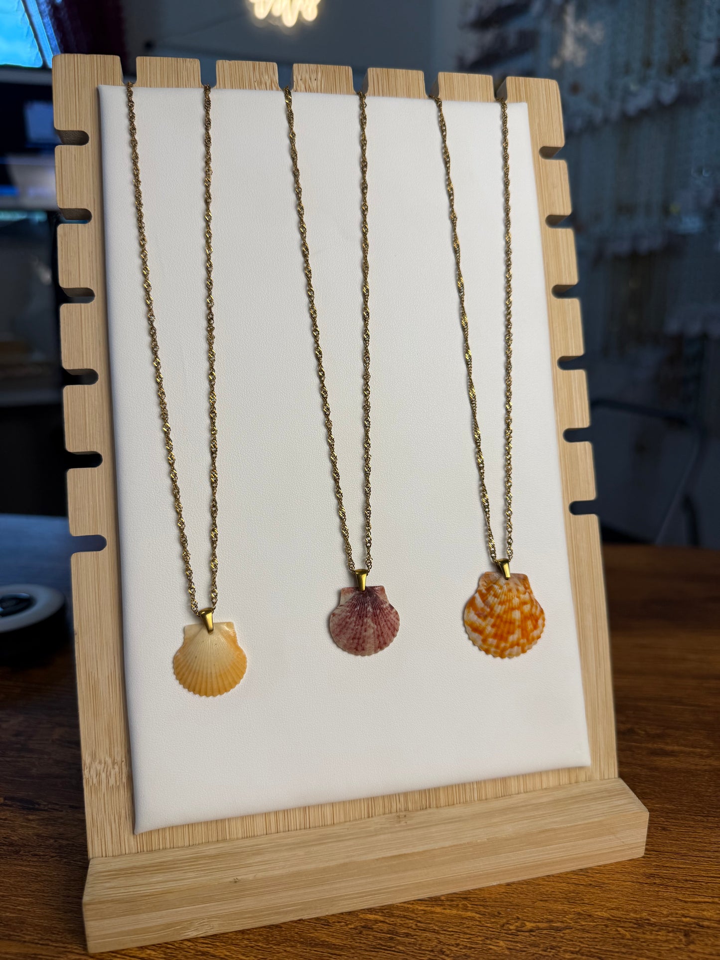 Seashell Necklace on Malibu Chain