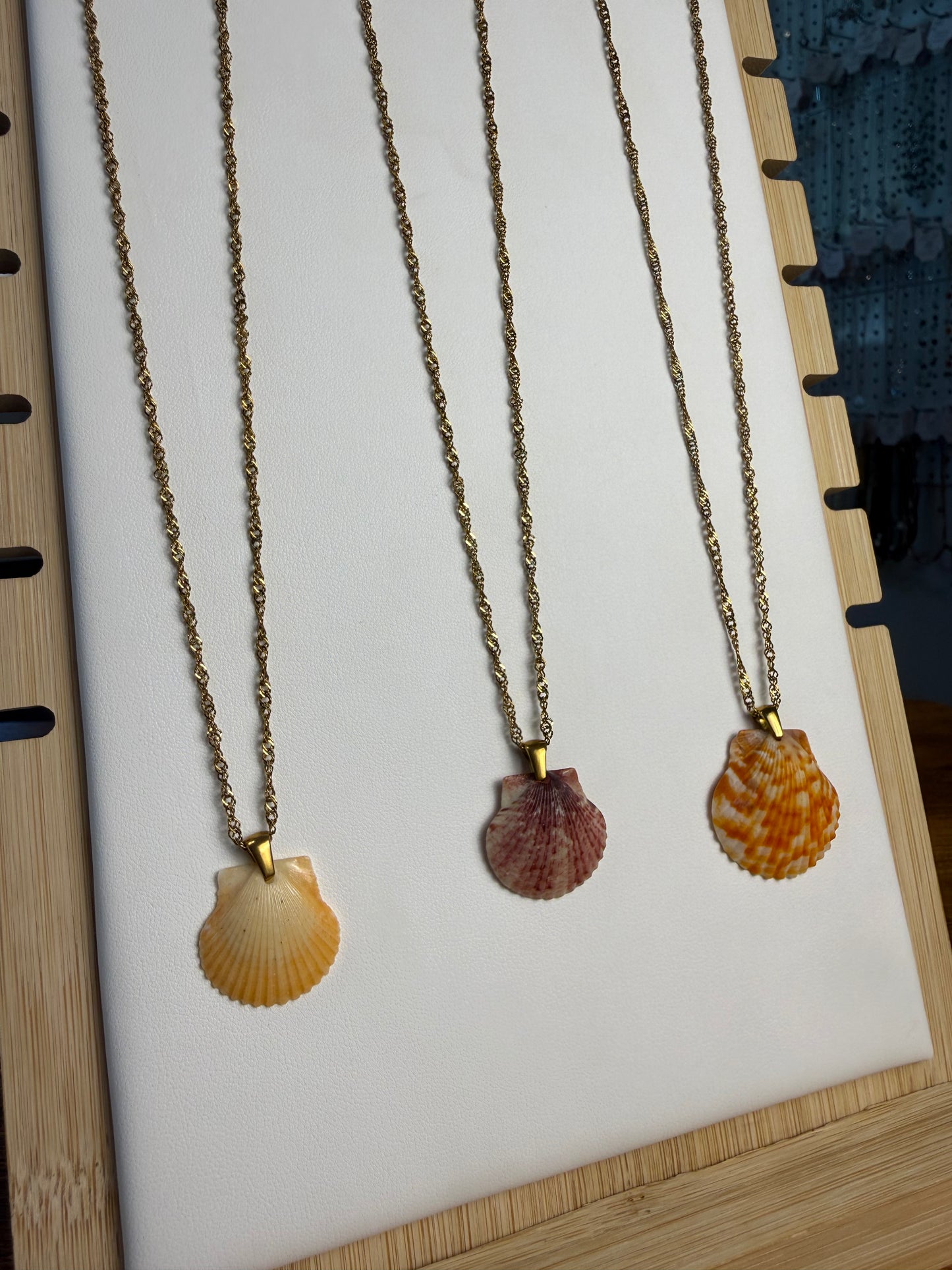 Seashell Necklace on Malibu Chain