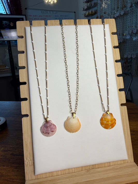 Seashell Necklace on Various Chains