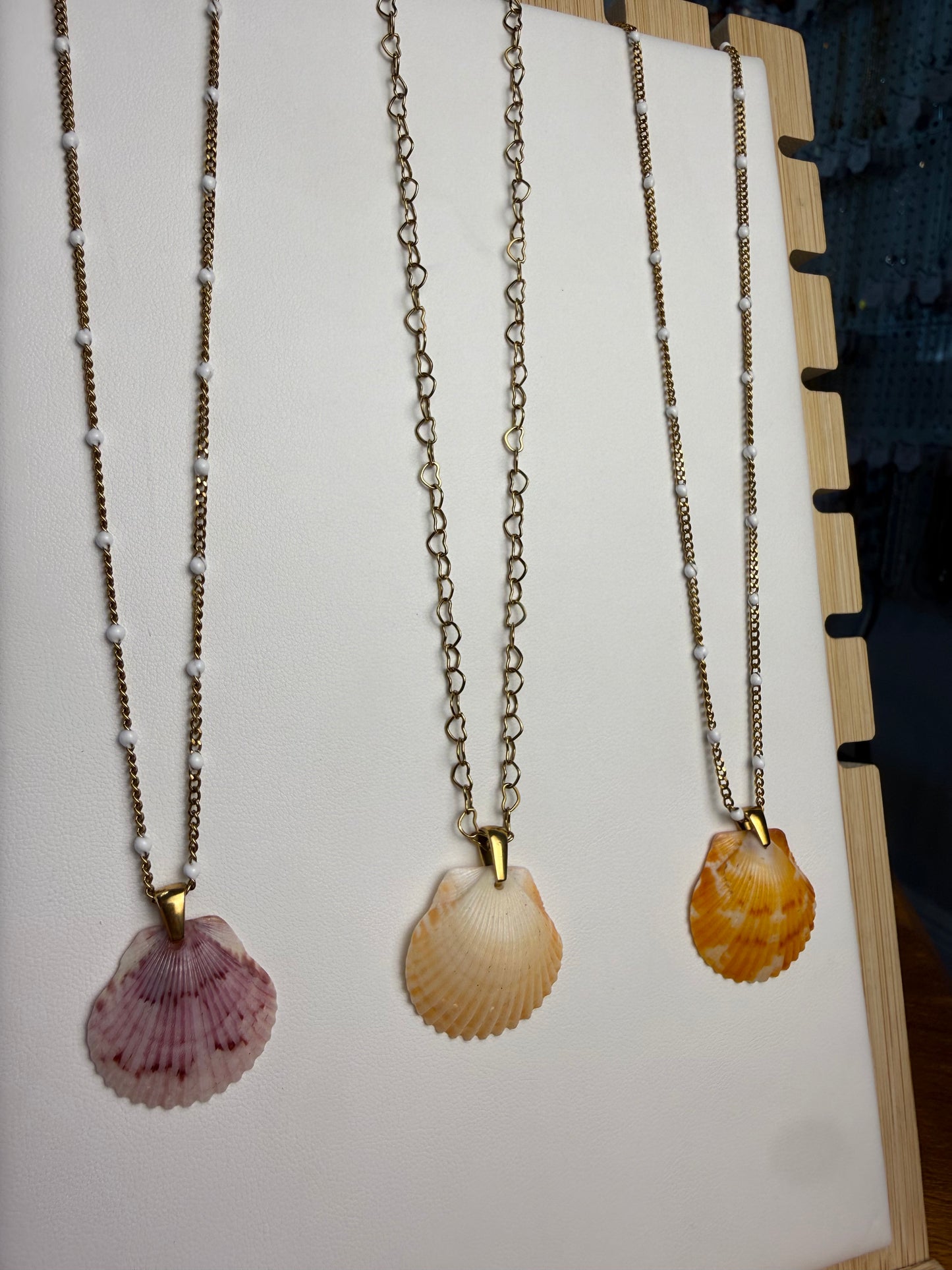Seashell Necklace on Various Chains