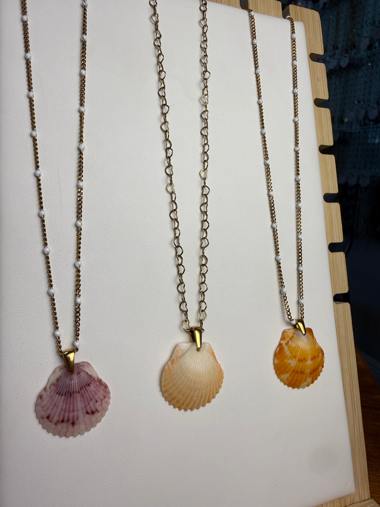 Seashell Necklace on Various Chains