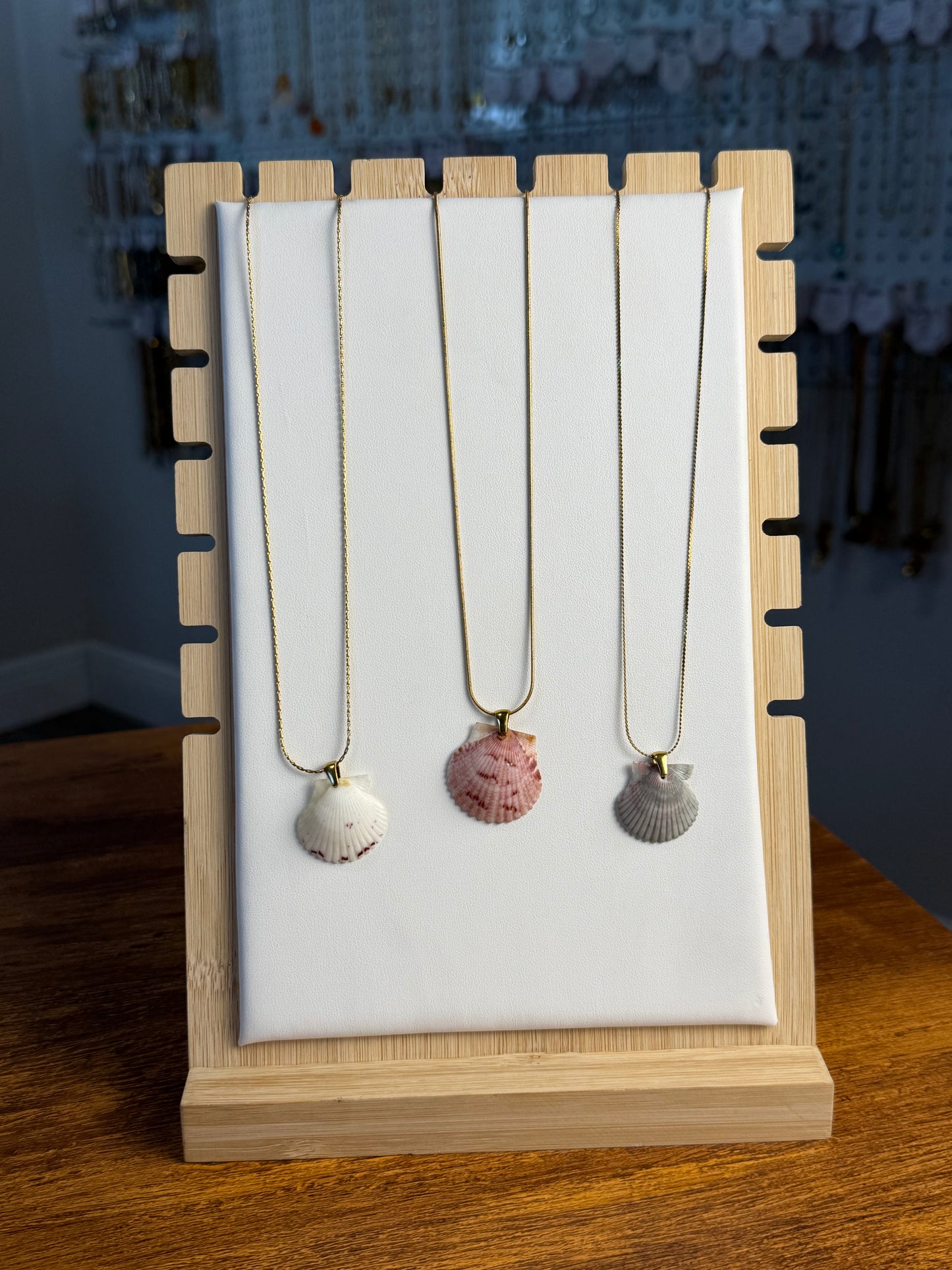 Seashell Necklace on Sandbar Chain