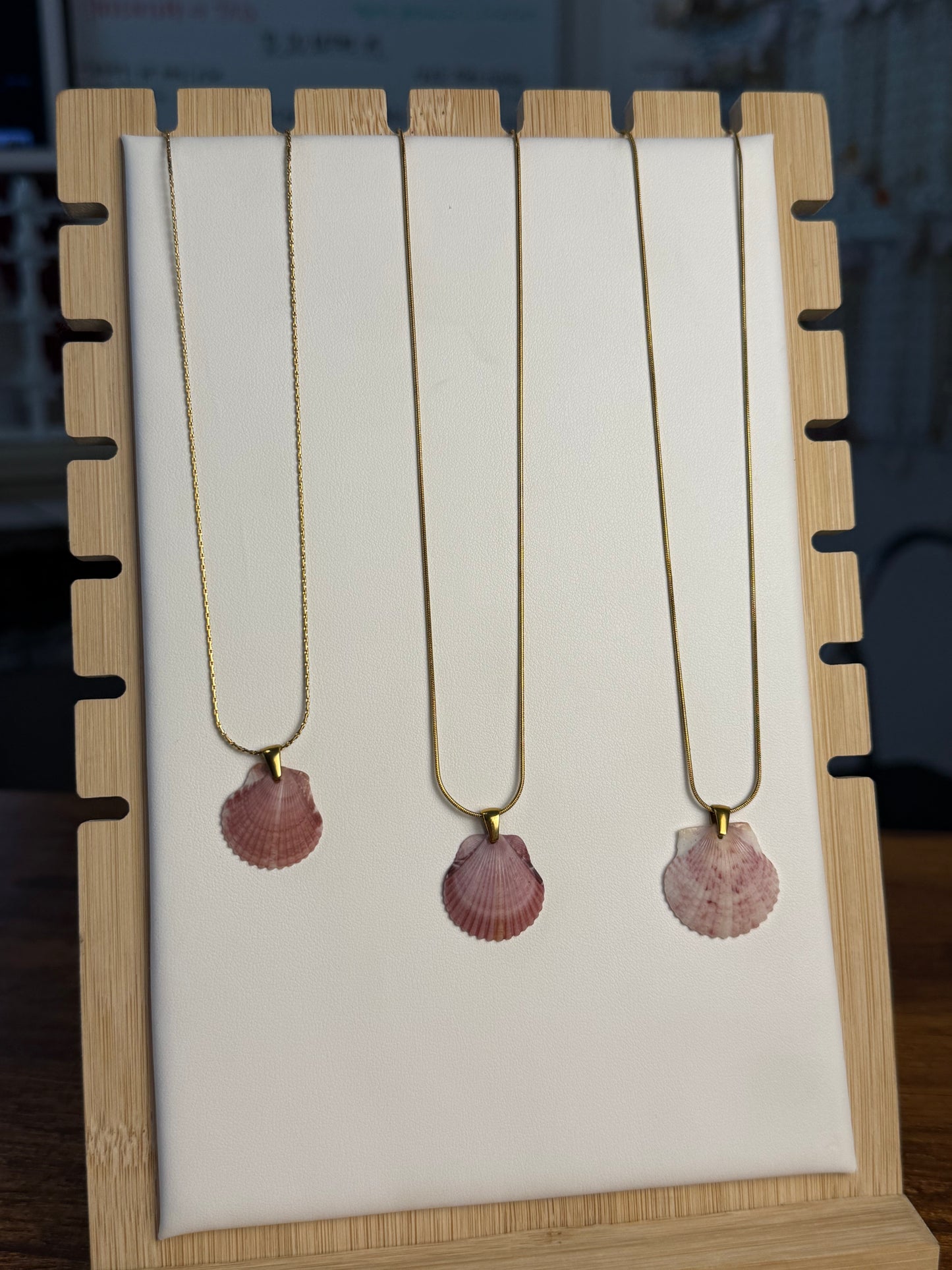 Seashell Necklace on Sandbar Chain