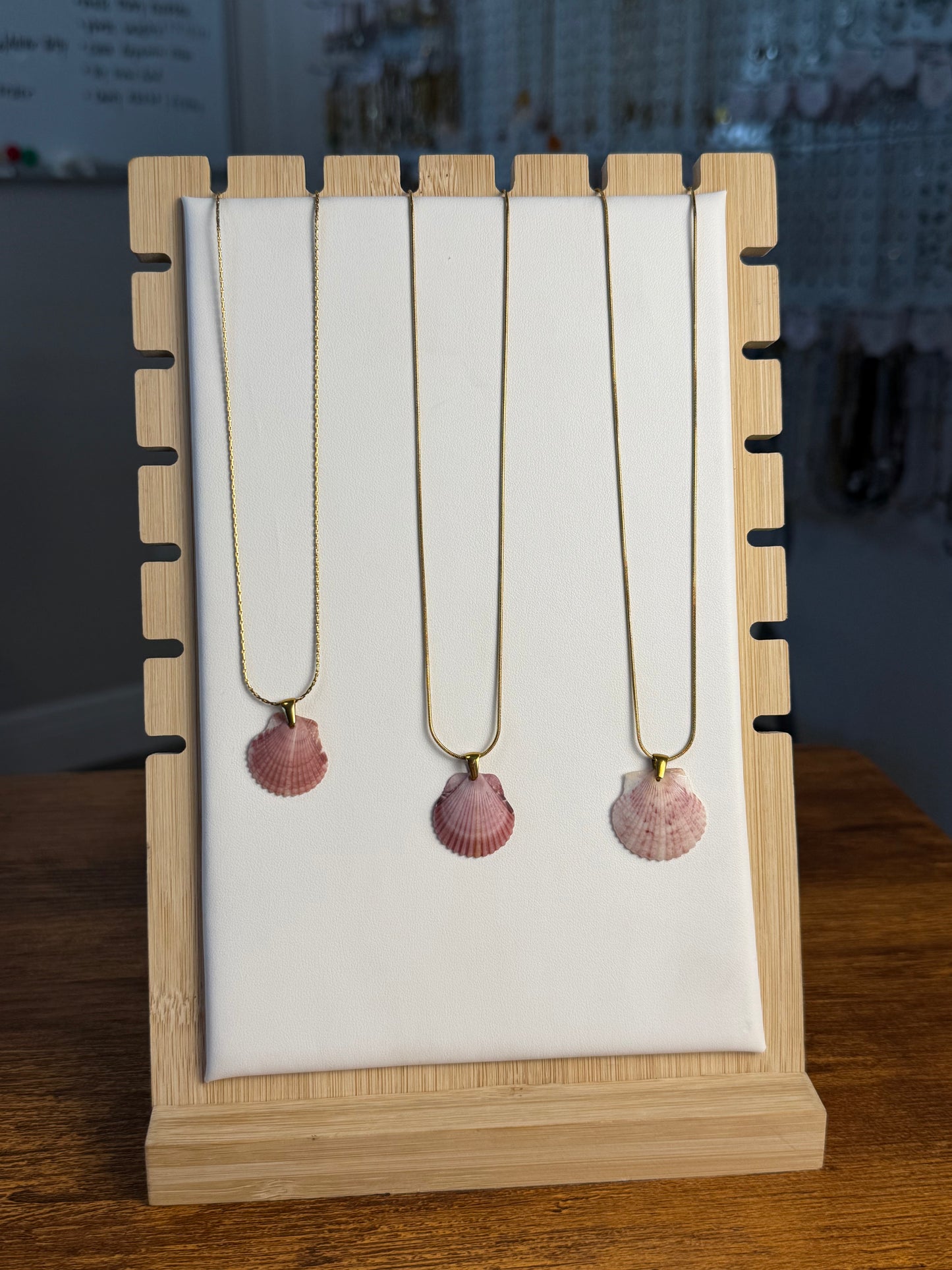 Seashell Necklace on Sandbar Chain