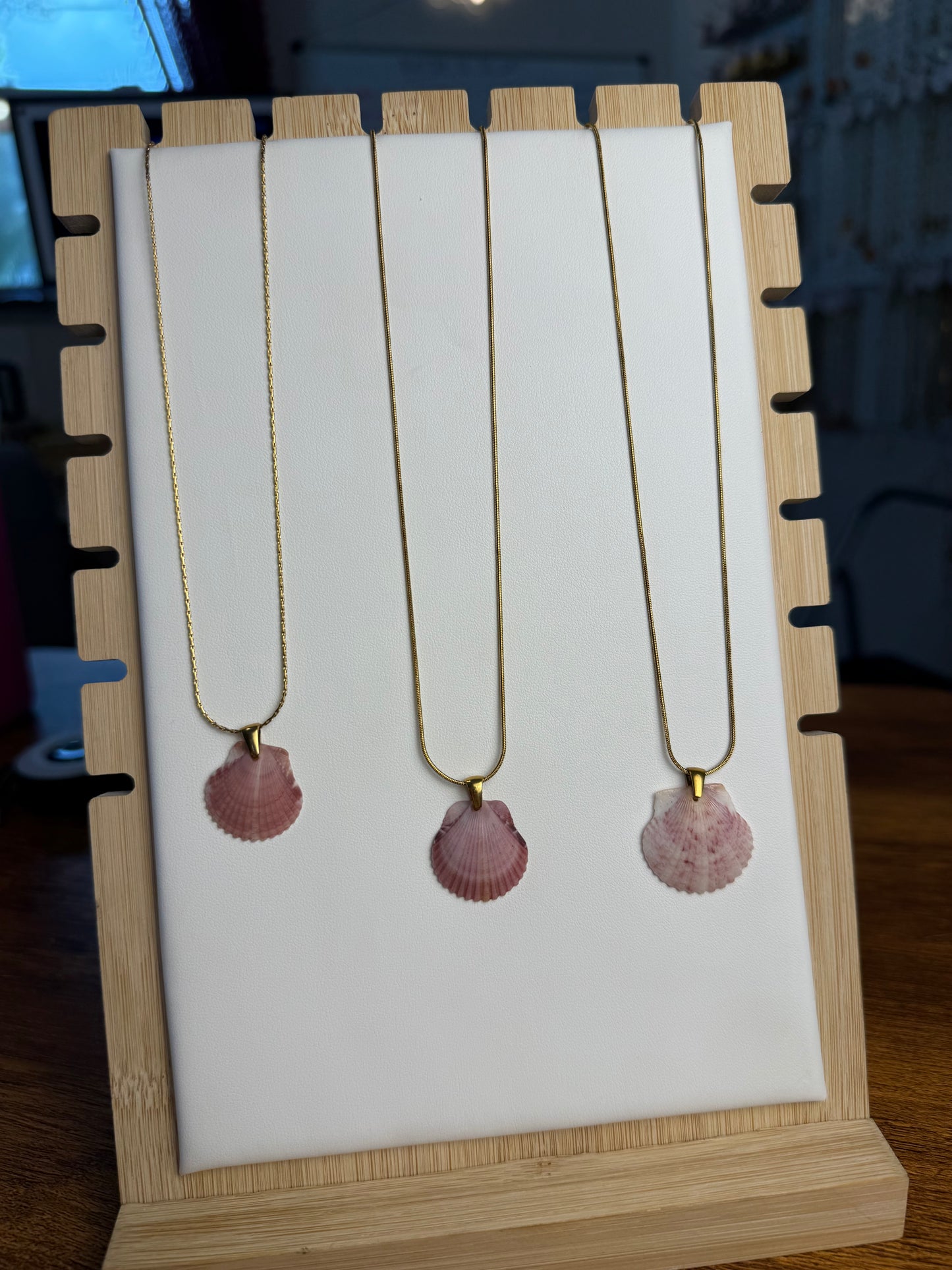 Seashell Necklace on Sandbar Chain