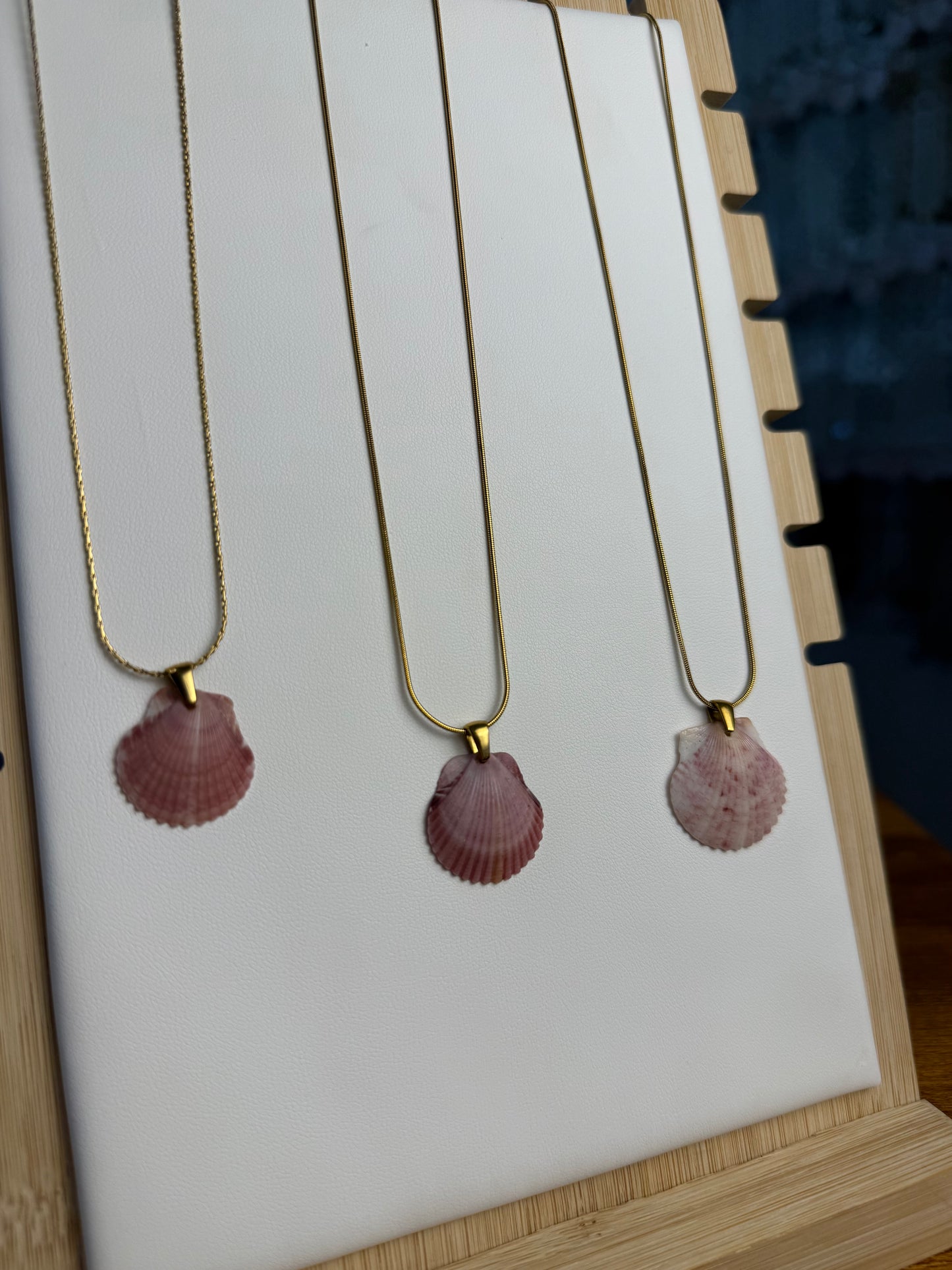 Seashell Necklace on Sandbar Chain
