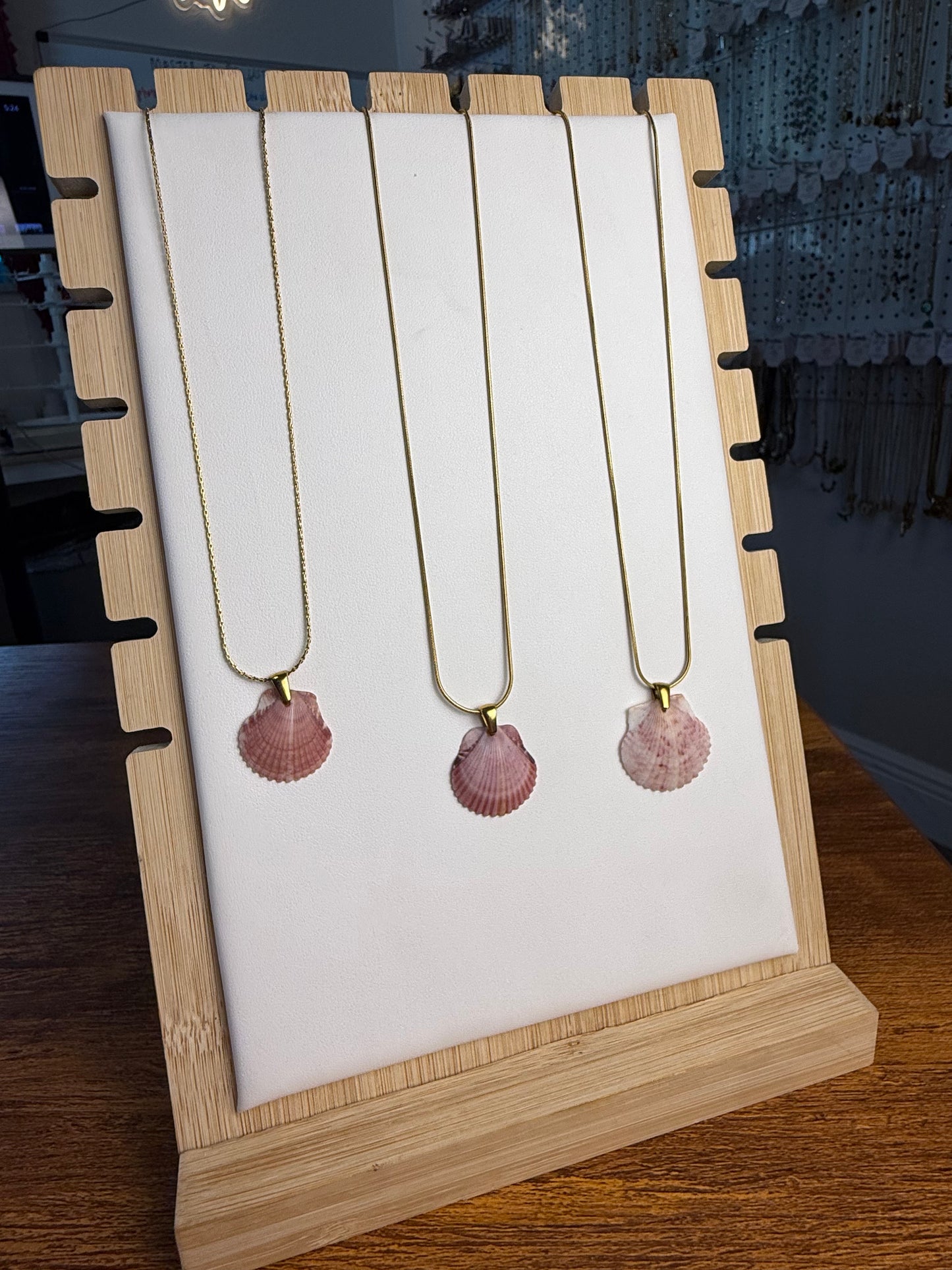 Seashell Necklace on Sandbar Chain