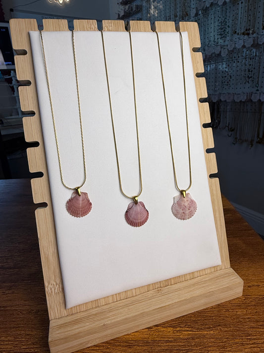 Seashell Necklace on Sandbar Chain