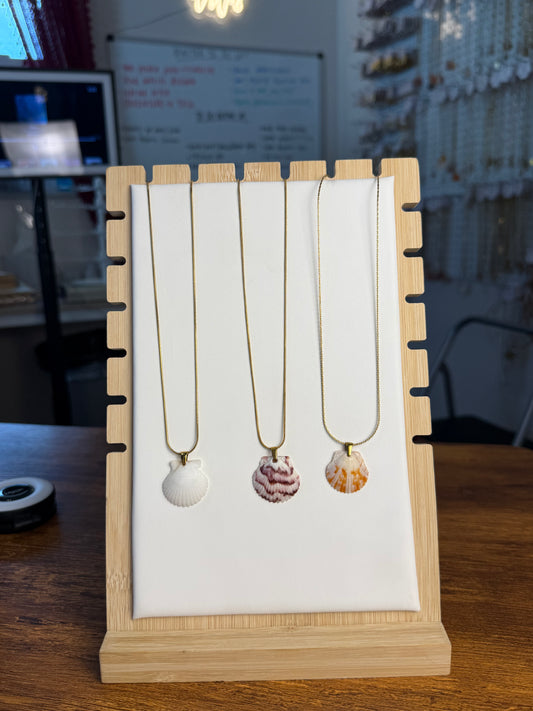 Seashell Necklace on Sandbar Chain