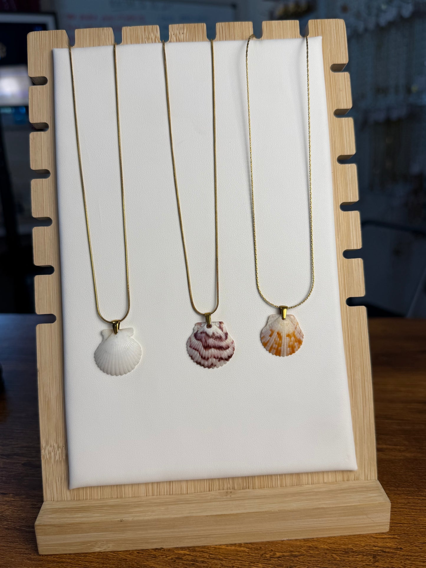 Seashell Necklace on Sandbar Chain