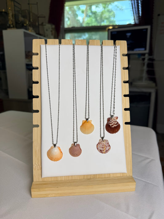 Seashell Necklace on Silver Singapore Chain