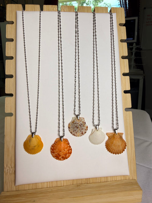 Seashell Necklace on Silver Singapore Chain