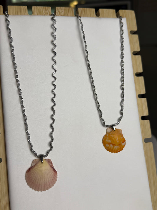 Seashell Necklace on Silver Squiggle Chain