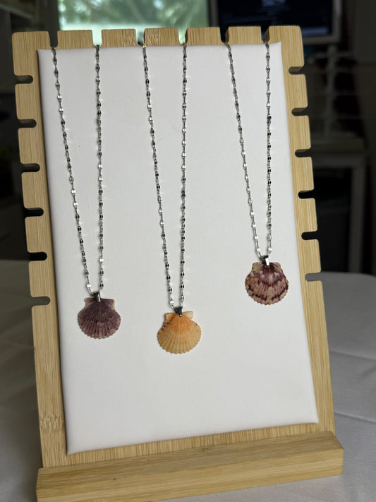 Seashell Necklace on Silver Current Chain