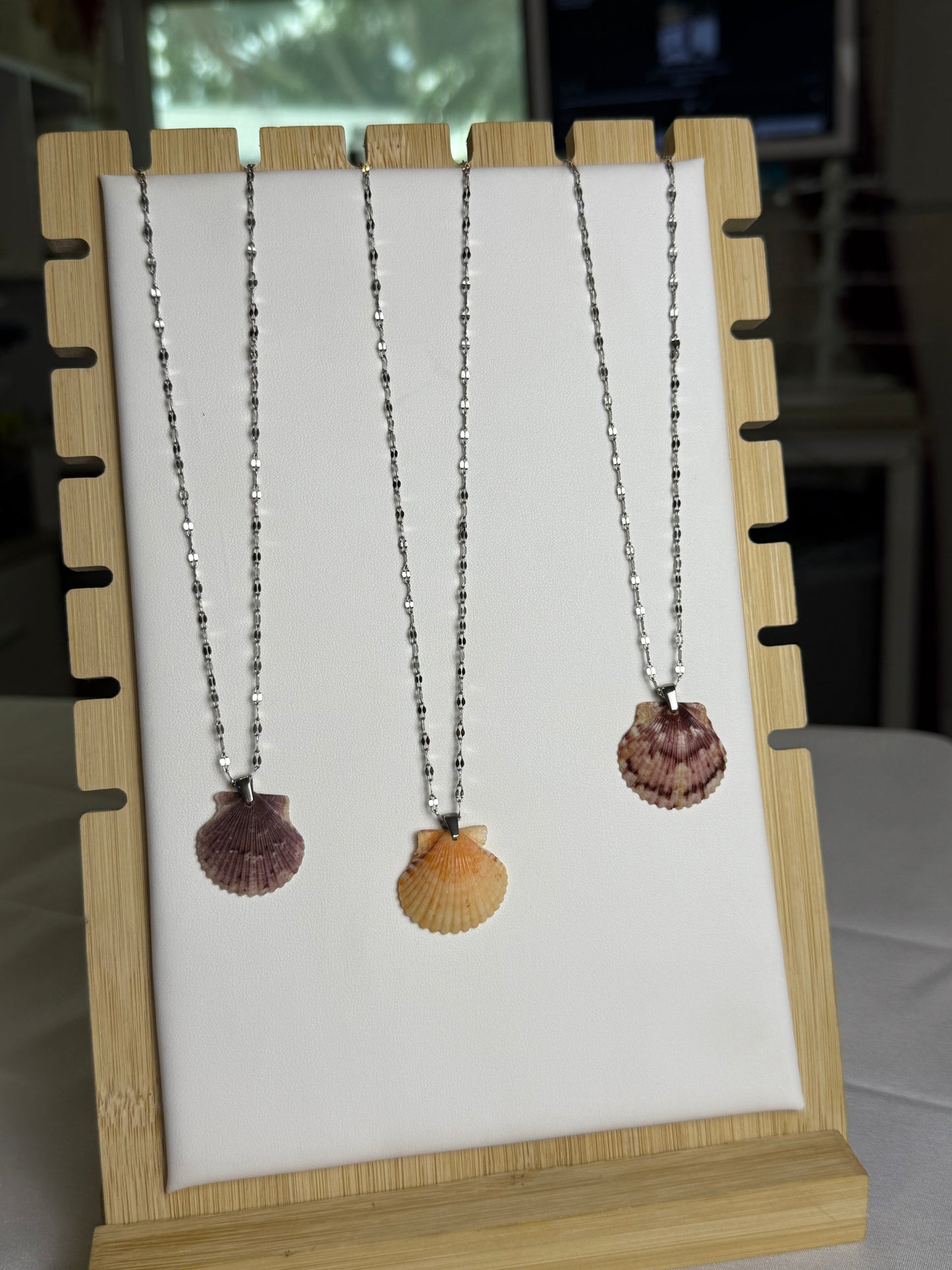 Seashell Necklaces on Silver Current Chain