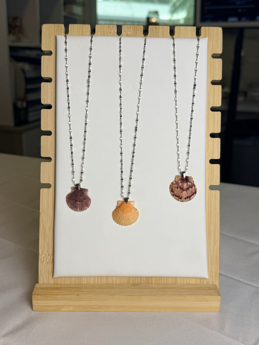 Seashell Necklace on Silver Current Chain