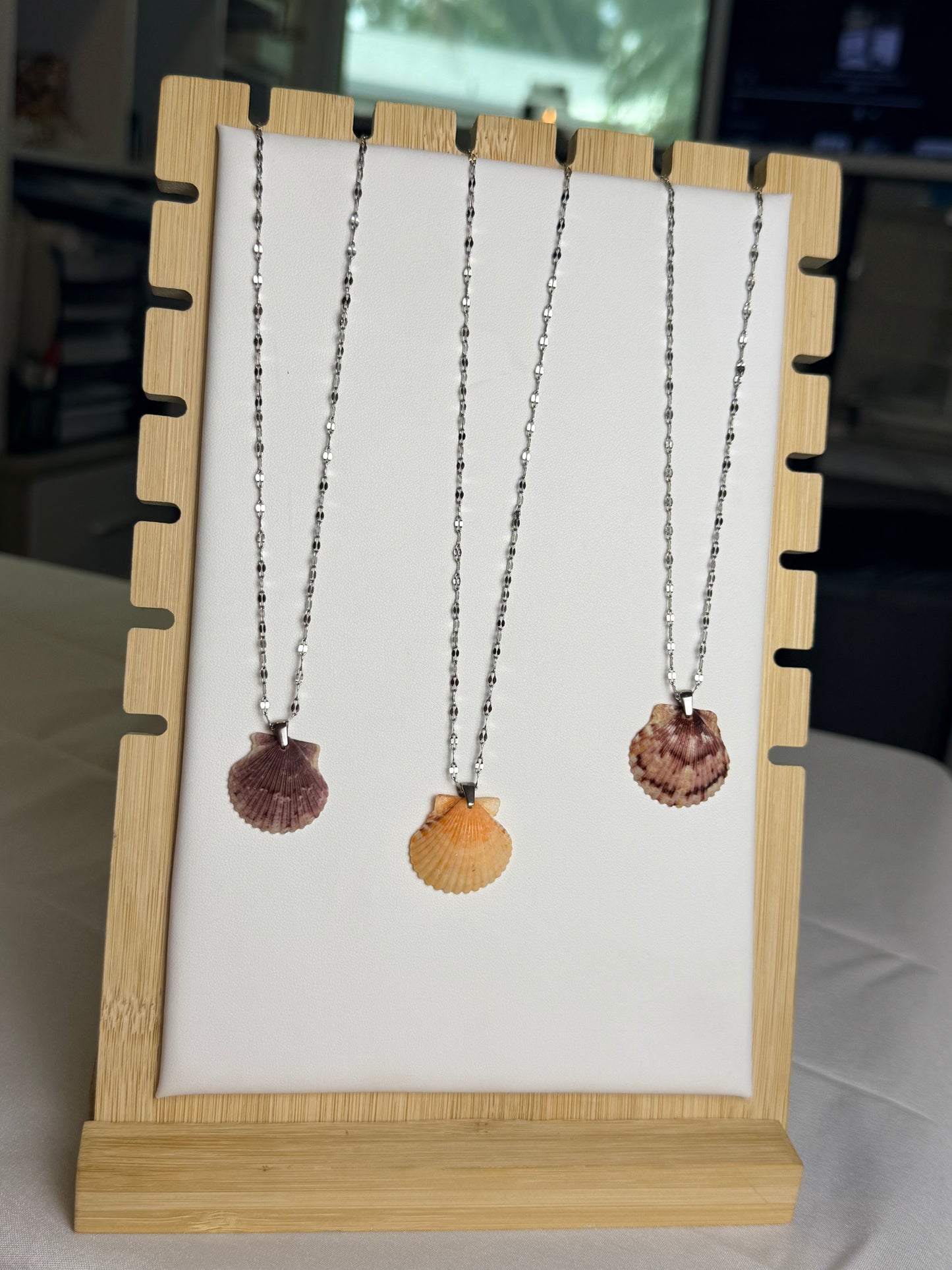 Seashell Necklaces on Silver Current Chain