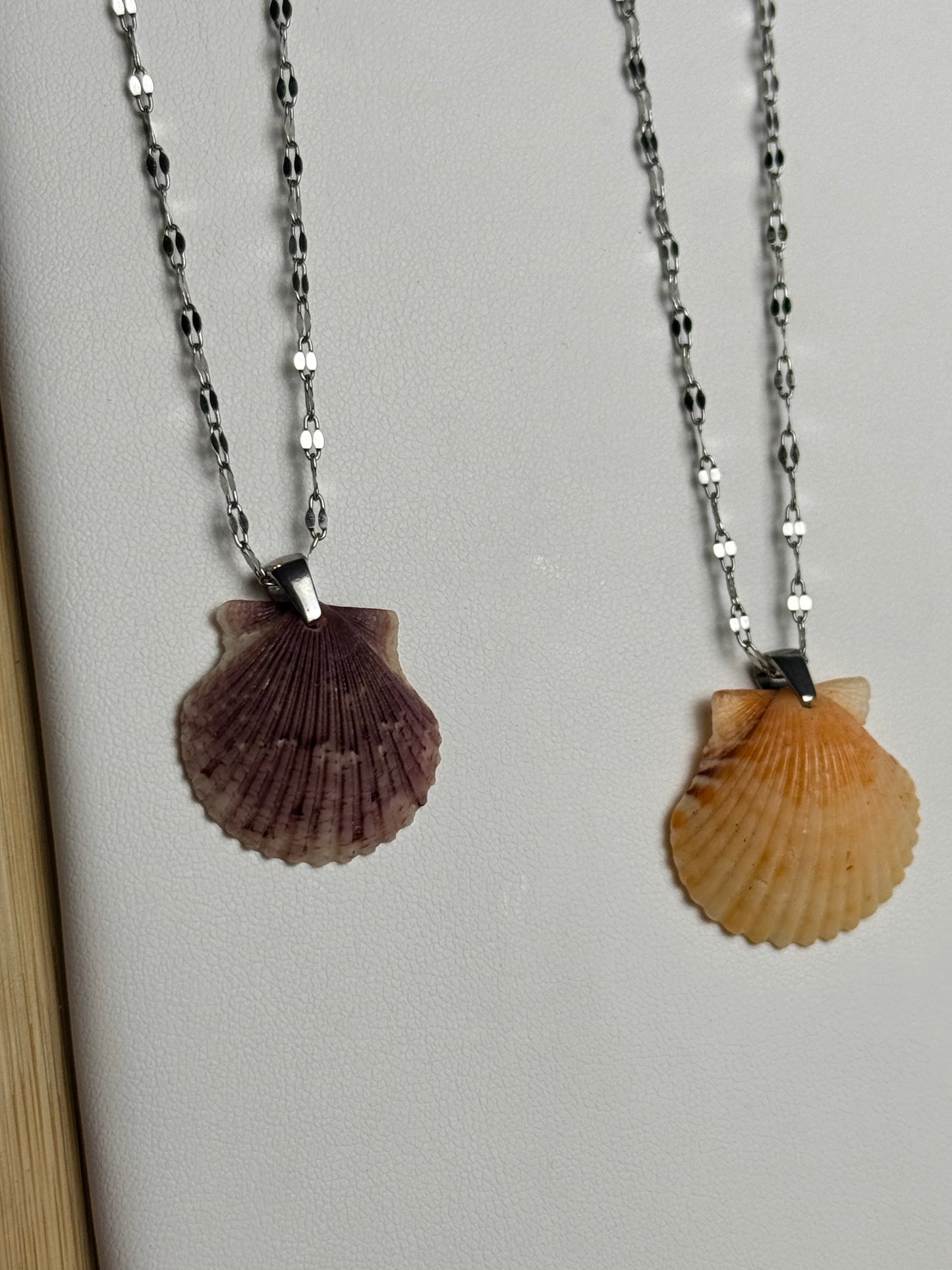 Seashell Necklaces on Silver Current Chain
