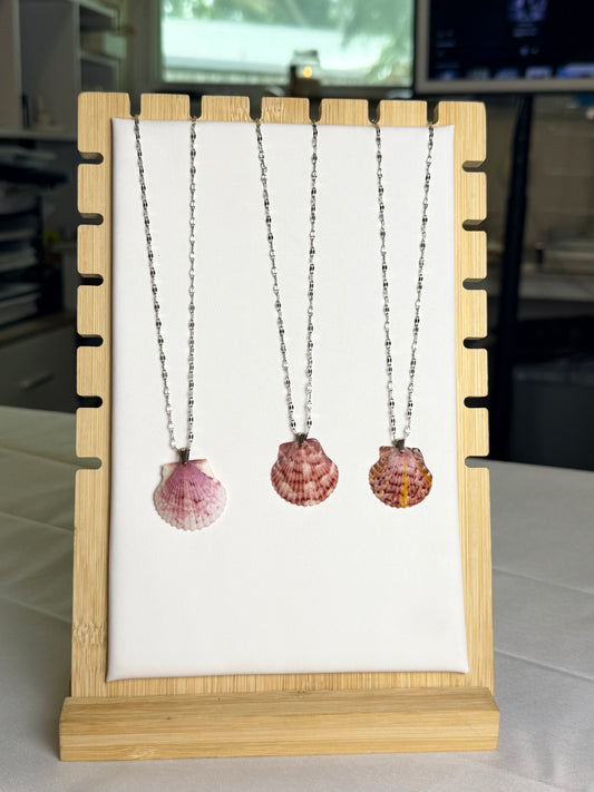 Seashell Necklace on Silver Current Chain