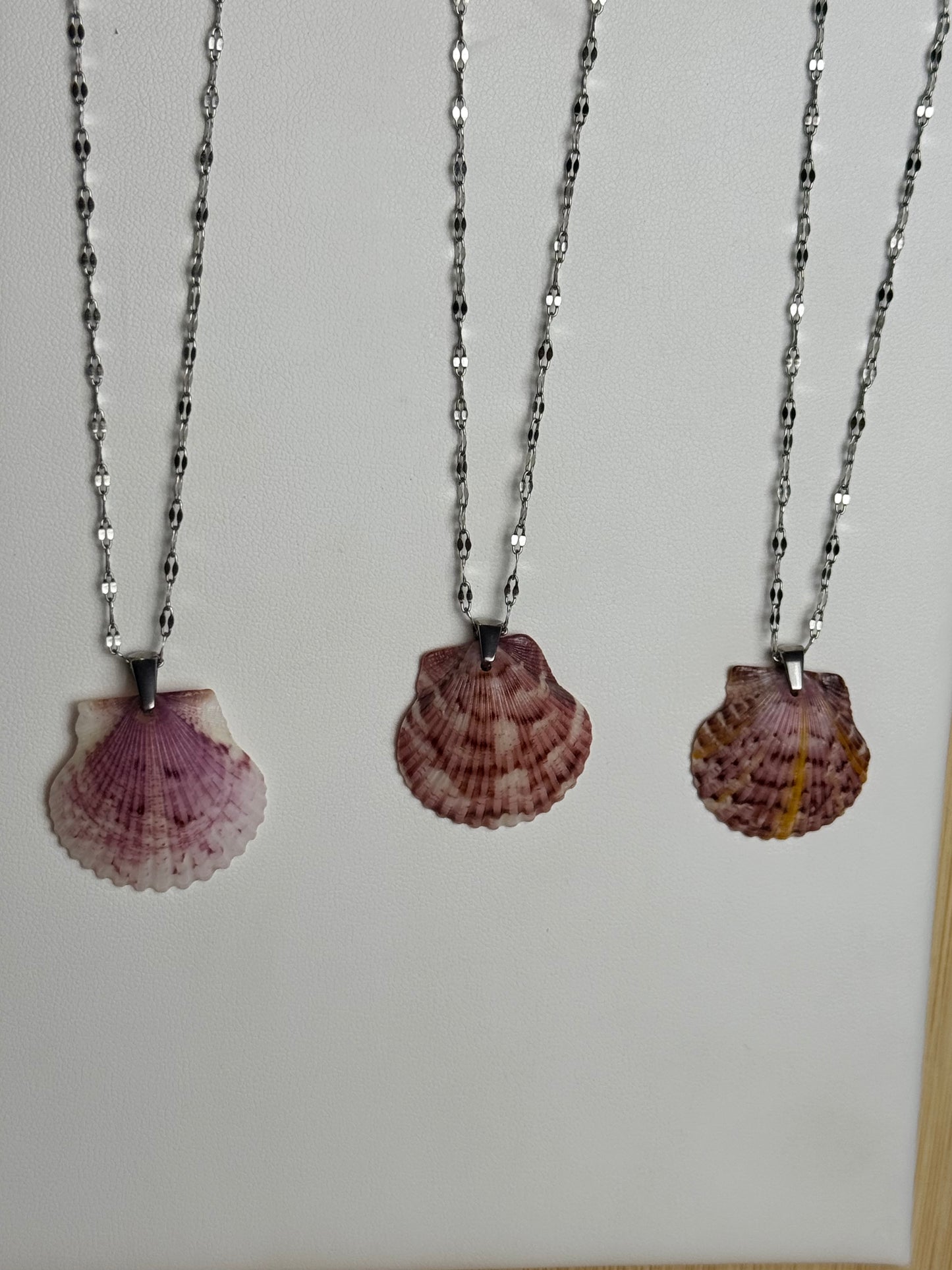 Seashell Necklaces on Silver Current Chain