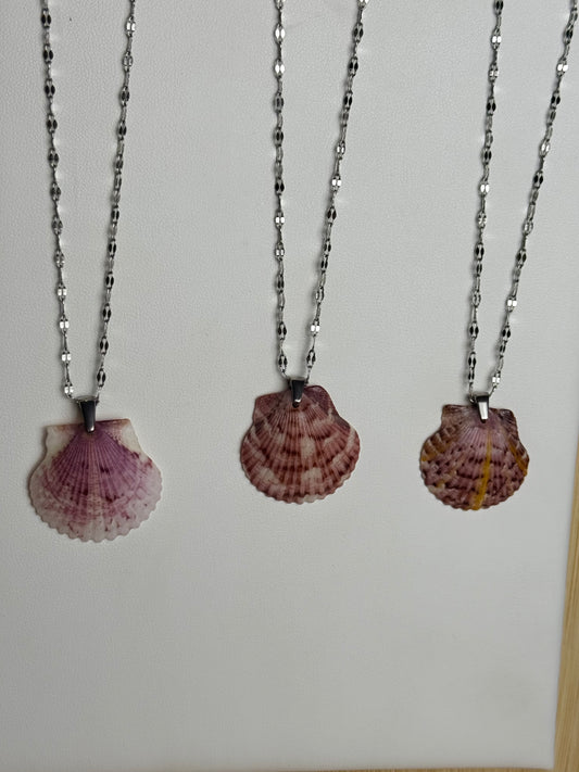 Seashell Necklace on Silver Current Chain