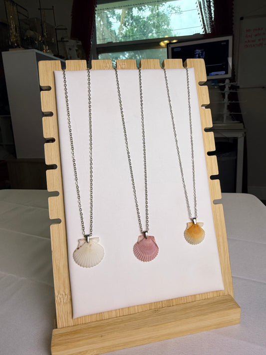 Seashell Necklace on Silver Salty Chain