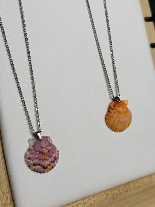 Seashell Necklace on Silver Salty Chain