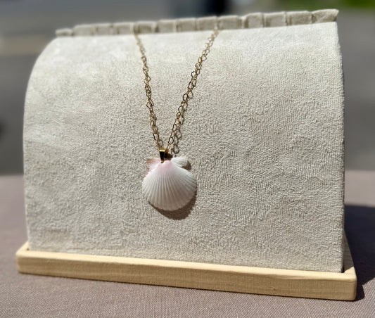 The Lover Necklace - Rare Sunwashed Seashell Edition