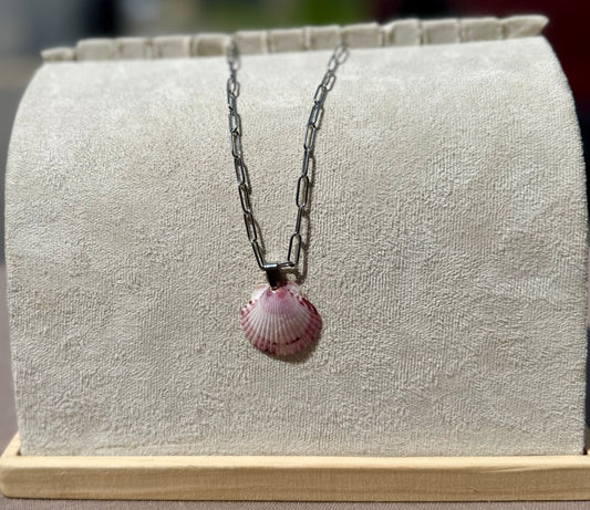 The Silver Paperclip Necklace - Rare Seashell Edition