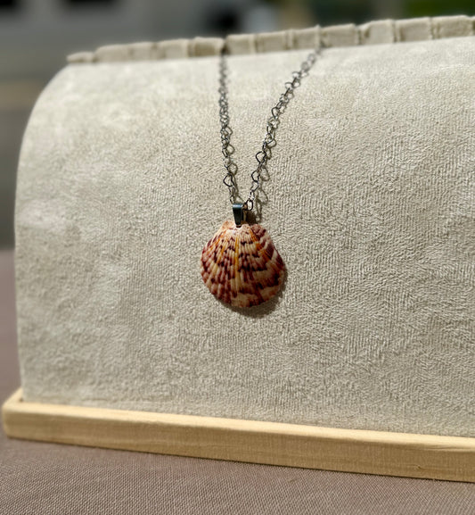 The Silver Lover Necklace - Amber Reef Seashell Edition