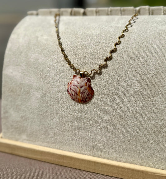 The Ripple Necklace -Rare Sunburst Speckle Seashell Edition