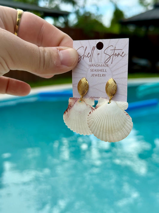 Ivory Scallop Studs