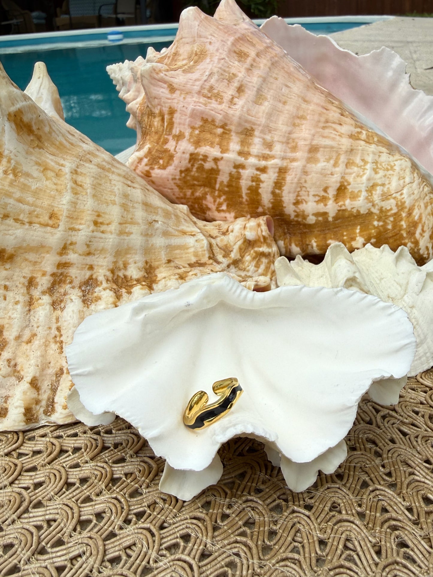 Bryar Ring in Black + White