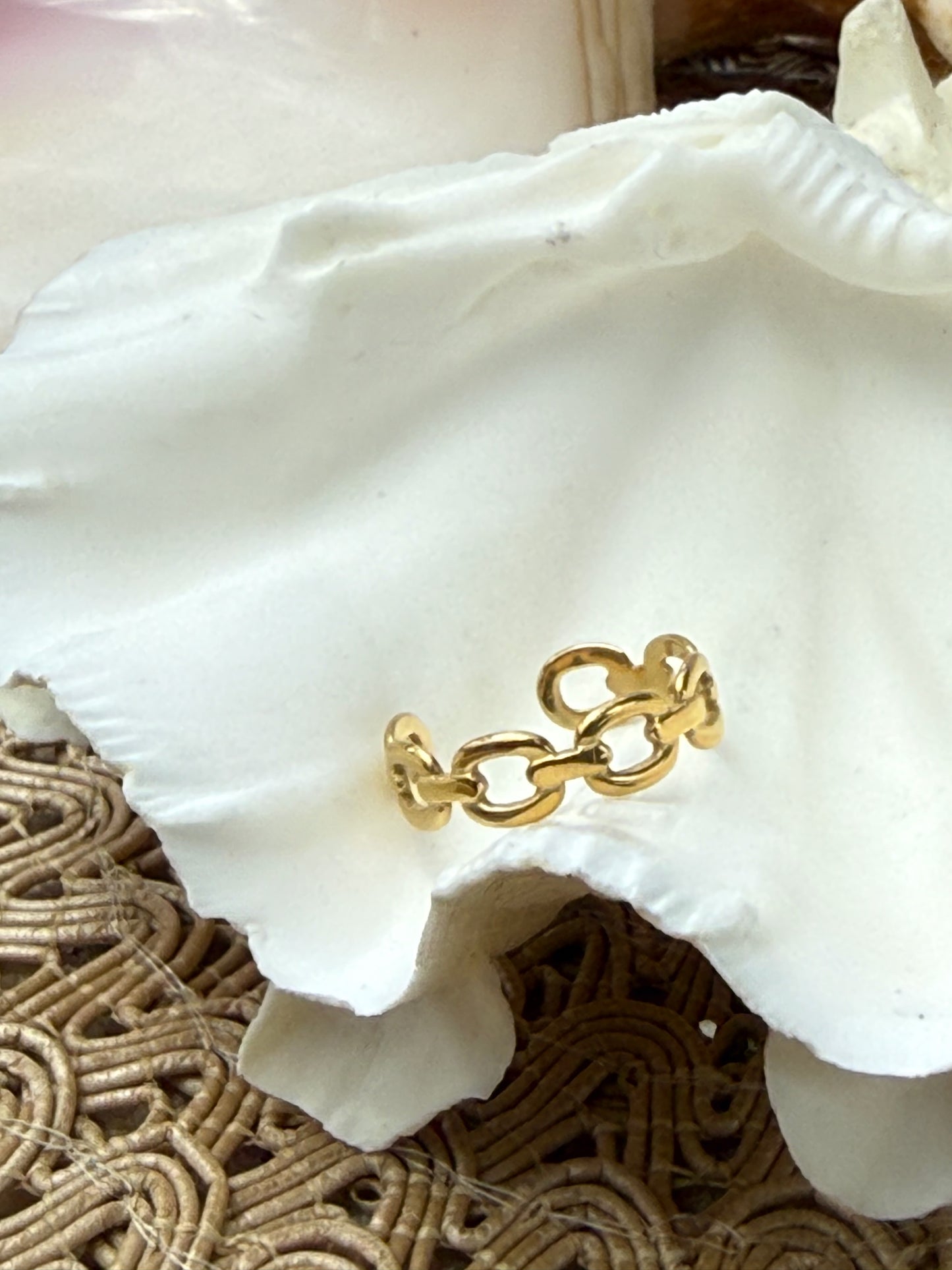 Chain Link Ring in Silver + Gold