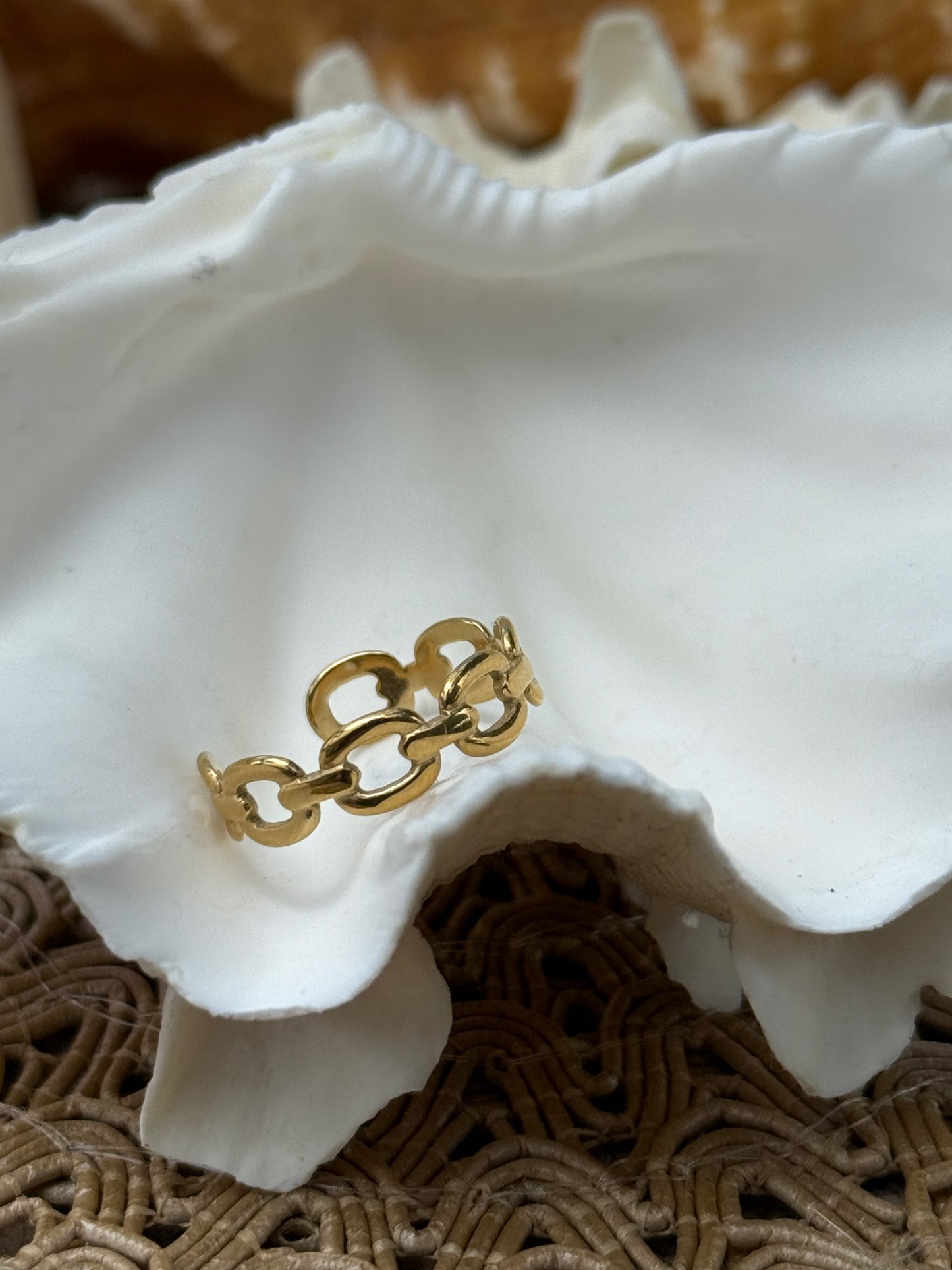 Chain Link Ring in Silver + Gold