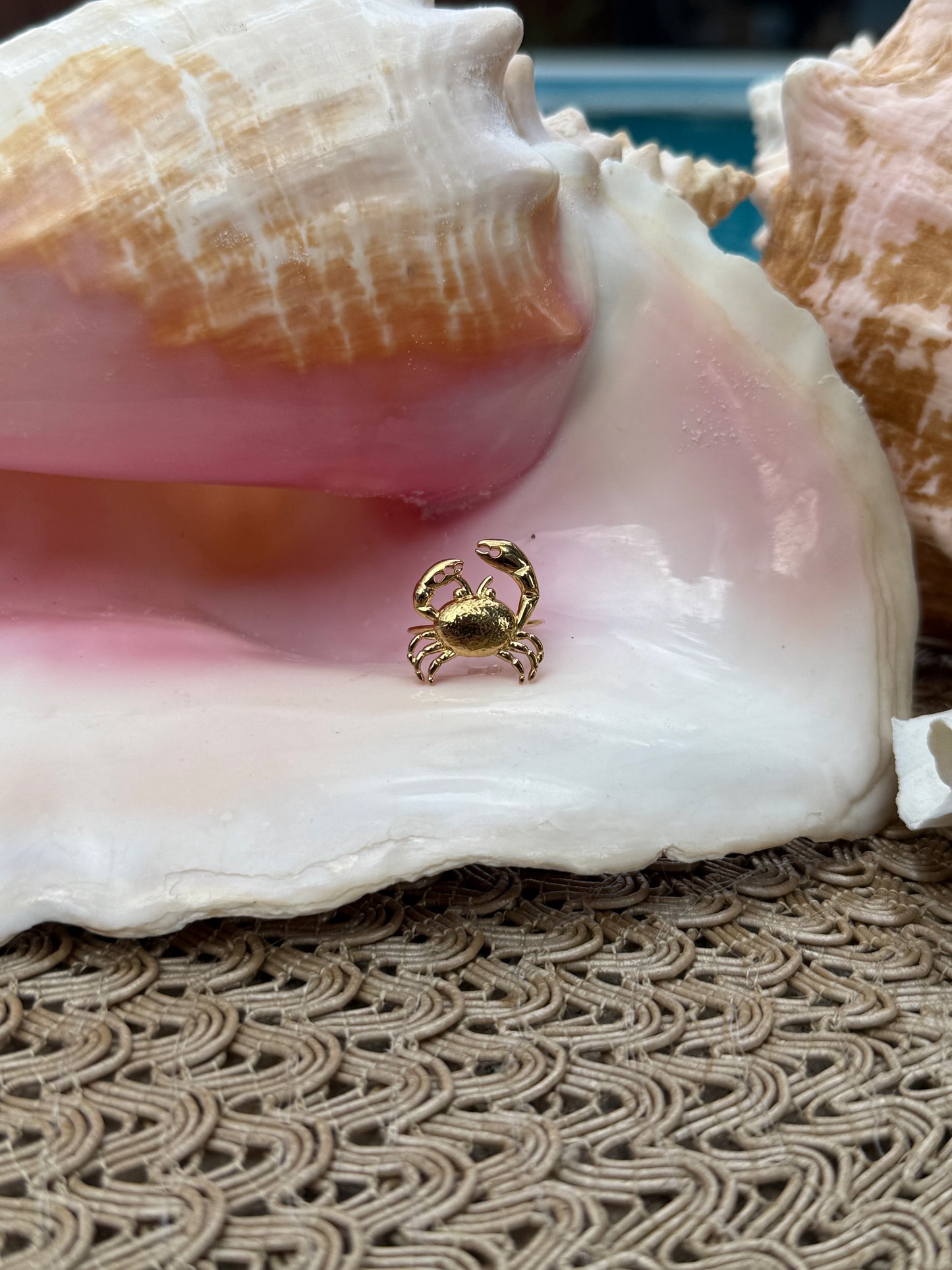Crab Ring in Silver + Gold