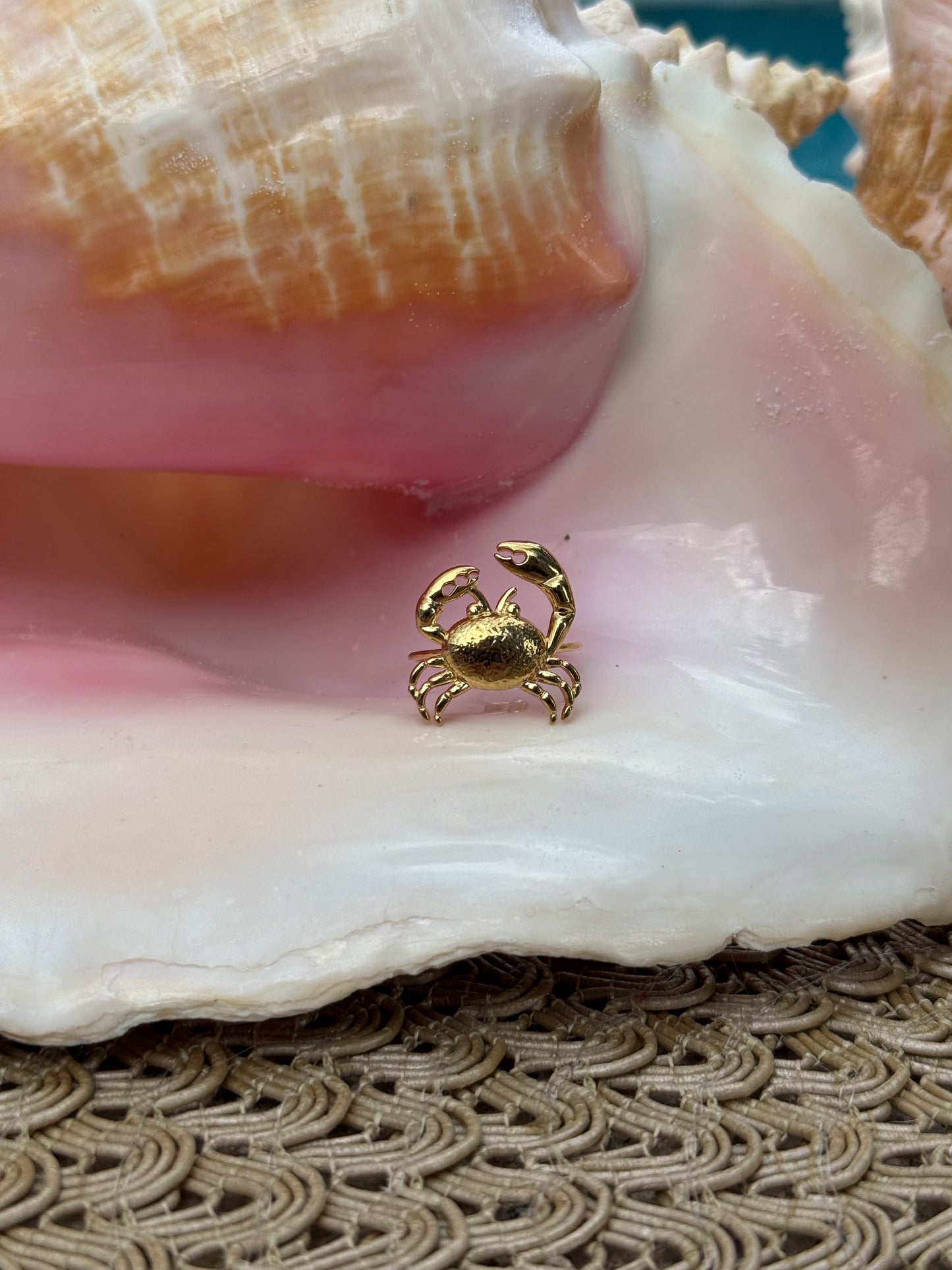 Crab Ring in Silver + Gold