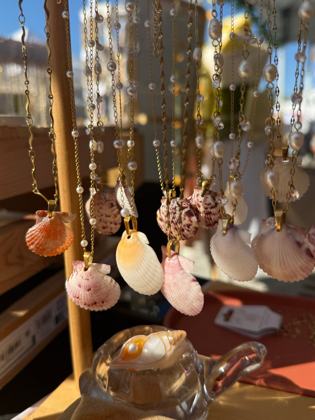 Shell + Stone